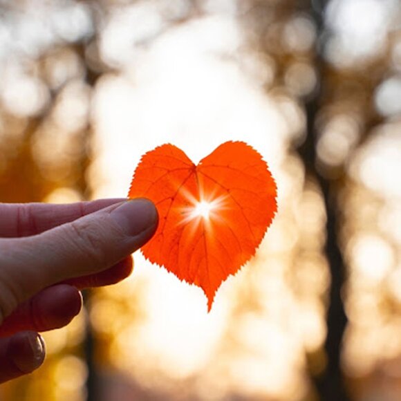 MEET THE POSHER - Picture 2 of 6